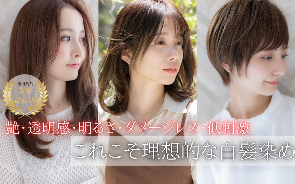 白髪染めのヘアスタイルの写真